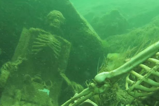 skeleton